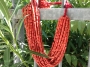 collana di corallo sardo collana di corallo sardo